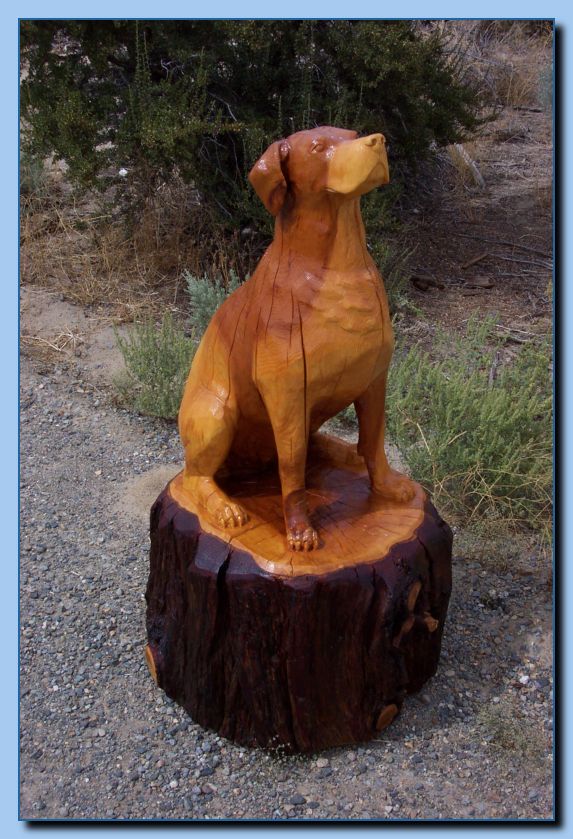 2-56 dog-rottweiler-archive-0010